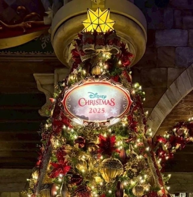 🎄💕｜写メ日記｜まりな｜鶯谷 ぽっちゃりデリヘル エンジェルマスカット