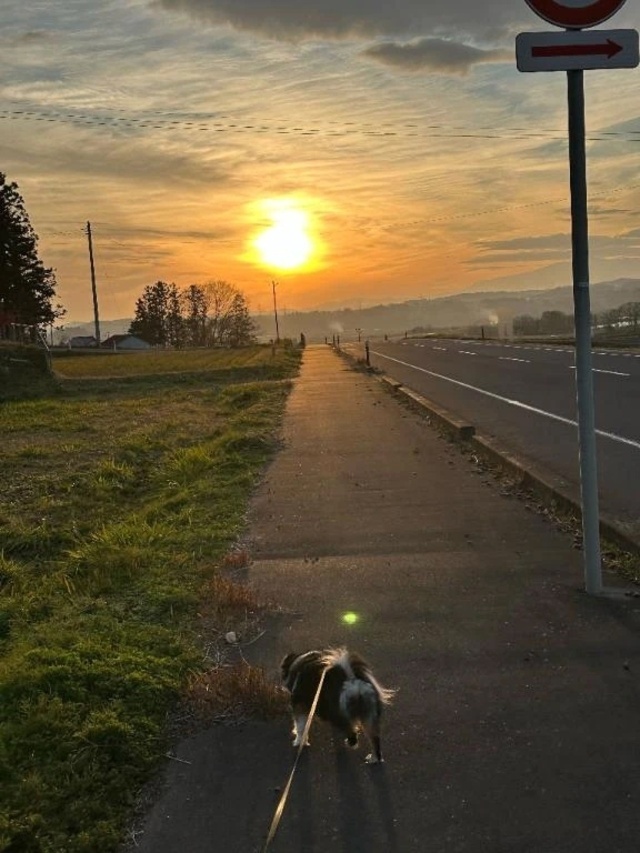 おはよー☀️｜写メ日記｜あいす｜鶯谷 ぽっちゃりデリヘル エンジェルマスカット