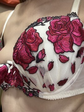 楽しみましょ｜写メ日記｜相原夏美｜池袋 人妻デリヘル こあくまな人妻・熟女たち池袋店(KOAKUMAグループ)