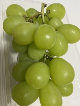 10/11のお礼です！｜写メ日記｜松田 ひな｜池袋 人妻デリヘル こあくまな人妻・熟女たち池袋店(KOAKUMAグループ)