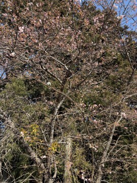 先日　千葉に行きました