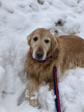 T様☆ 有難うございました?|写メ日記|八雲 紅|池袋 人妻デリヘル こあくまな人妻・熟女たち池袋店(KOAKUMAグループ)