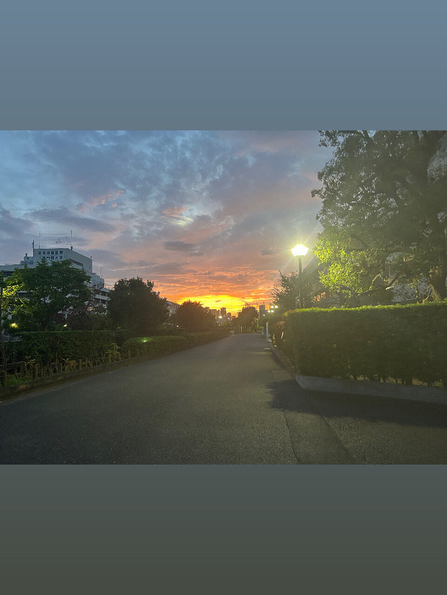 初めまして、澤村　朧です