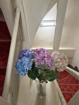 こんなところに｜写メ日記｜天海 うらら｜池袋 人妻デリヘル こあくまな人妻・熟女たち池袋店(KOAKUMAグループ)
