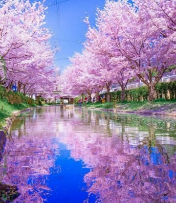 暫くお休み (* ´ ▽ ` *)ノ｜写メ日記｜椿 すず｜鶯谷 人妻デリヘル こあくまな人妻・熟女たち鶯谷・日暮里店(Kグループ)