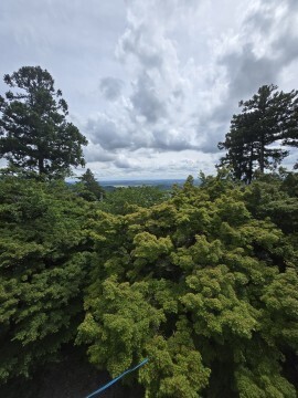 11日(木)出勤です｜写メ日記｜高橋 ようこ｜鶯谷 人妻デリヘル こあくまな人妻・熟女たち鶯谷・日暮里店(Kグループ)