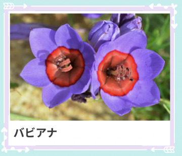 本日も、ありがとう。｜写メ日記｜山波 幸｜鶯谷 人妻デリヘル こあくまな人妻・熟女たち鶯谷・日暮里店(Kグループ)