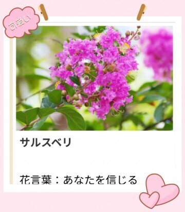 本日も、ありがとう。