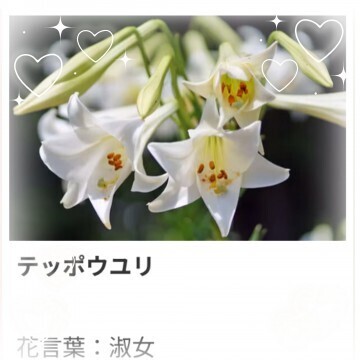 本日も、ありがとう。