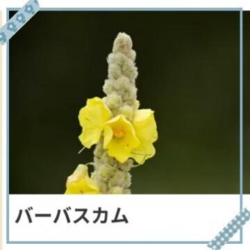本日も、ありがとう。