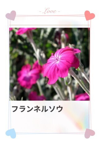 本日も、ありがとう。