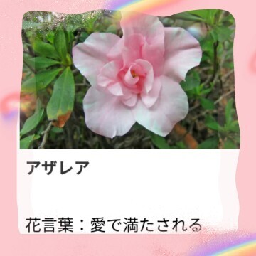 本日も、ありがとうございました。｜写メ日記｜山波 幸｜鶯谷 人妻デリヘル こあくまな人妻・熟女たち鶯谷・日暮里店(Kグループ)