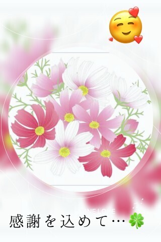 11月の御礼。｜写メ日記｜山波 幸｜鶯谷 人妻デリヘル こあくまな人妻・熟女たち鶯谷・日暮里店(Kグループ)