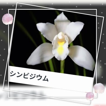 本日も、ありがとうございました。