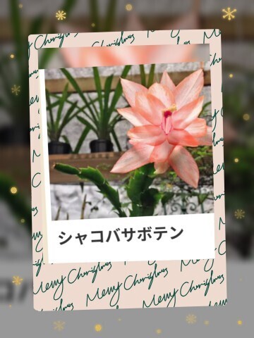 本日も、ありがとうございました。