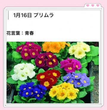 本日も、ありがとうございました。｜写メ日記｜山波 幸｜鶯谷 人妻デリヘル こあくまな人妻・熟女たち鶯谷・日暮里店(Kグループ)