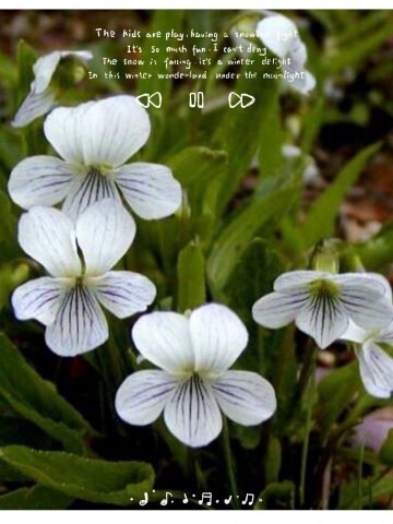 本日も、ありがとう。