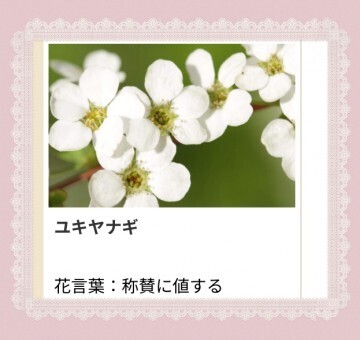 本日も、ありがとう。｜写メ日記｜山波 幸｜鶯谷 人妻デリヘル こあくまな人妻・熟女たち鶯谷・日暮里店(Kグループ)