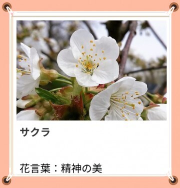 本日も、ありがとう。｜写メ日記｜山波 幸｜鶯谷 人妻デリヘル こあくまな人妻・熟女たち鶯谷・日暮里店(Kグループ)