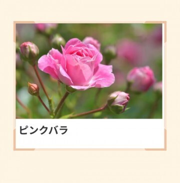 本日も、ありがとう。｜写メ日記｜山波 幸｜鶯谷 人妻デリヘル こあくまな人妻・熟女たち鶯谷・日暮里店(Kグループ)