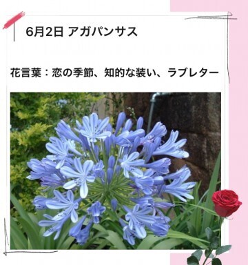 本日も、ありがとう。｜写メ日記｜山波 幸｜鶯谷 人妻デリヘル こあくまな人妻・熟女たち鶯谷・日暮里店(Kグループ)