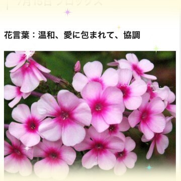本日もありがとうございました