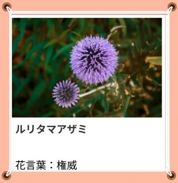 本日も、ありがとうございました。