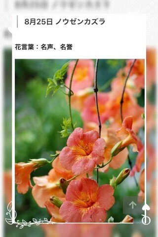 いつも、ありがとうございます。｜写メ日記｜山波 幸｜鶯谷 人妻デリヘル こあくまな人妻・熟女たち鶯谷・日暮里店(Kグループ)