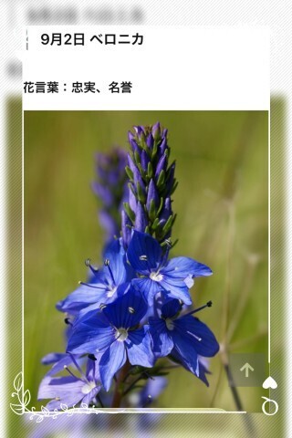 本日も、ありがとうございました。｜写メ日記｜山波 幸｜鶯谷 人妻デリヘル こあくまな人妻・熟女たち鶯谷・日暮里店(Kグループ)