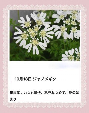 今日も、ありがとうがいっぱい。｜写メ日記｜山波 幸｜鶯谷 人妻デリヘル こあくまな人妻・熟女たち鶯谷・日暮里店(Kグループ)