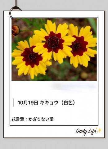 今日のご縁に心を寄せて。｜写メ日記｜山波 幸｜鶯谷 人妻デリヘル こあくまな人妻・熟女たち鶯谷・日暮里店(Kグループ)