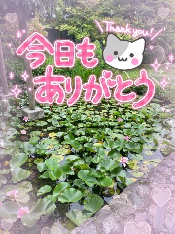 退勤しました｜写メ日記｜北野 ミサ｜鶯谷 人妻デリヘル こあくまな人妻・熟女たち鶯谷・日暮里店(Kグループ)