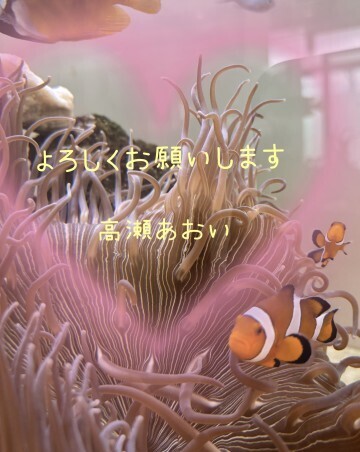 こんにちは｜写メ日記｜高瀬 あおい｜鶯谷 人妻デリヘル こあくまな人妻・熟女たち鶯谷・日暮里店(Kグループ)