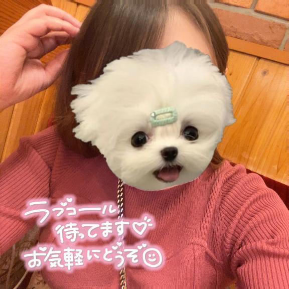 出勤💫｜写メ日記｜めいめい｜鶯谷 一般デリヘル イクイクサークル鶯谷店