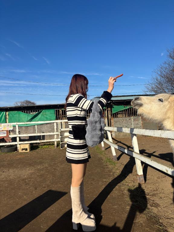 明けましておめでとうございます?｜写メ日記｜エリカ｜渋谷 一般デリヘル マテリアル