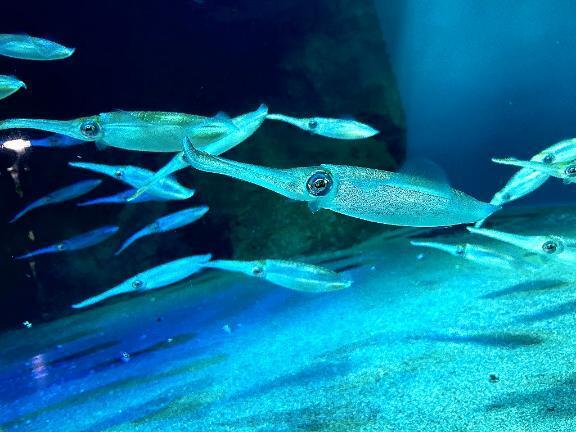 よろしくお願いします?｜写メ日記｜ルリ｜渋谷 一般デリヘル マテリアル