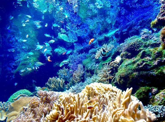 雨の日はしっとり??｜写メ日記｜ルリ｜渋谷 一般デリヘル マテリアル