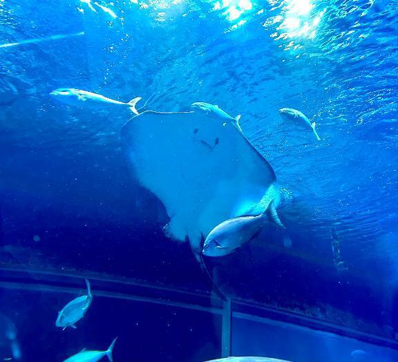 雨ですが、??｜写メ日記｜ルリ｜渋谷 一般デリヘル マテリアル
