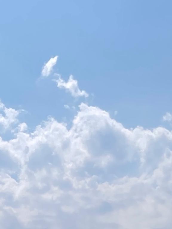明日? o????  ? o???? ?｜写メ日記｜ヒナノ｜渋谷 一般デリヘル マテリアル