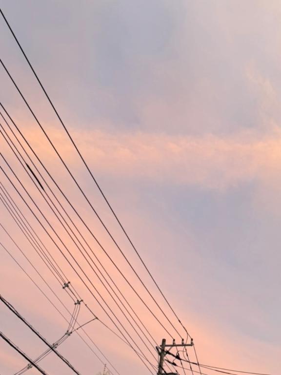 ???｜写メ日記｜ヒナノ｜渋谷 一般デリヘル マテリアル