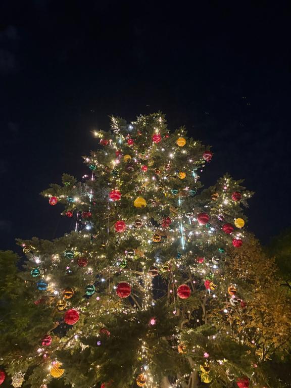 ?｜写メ日記｜イロハ｜渋谷 一般デリヘル マテリアル