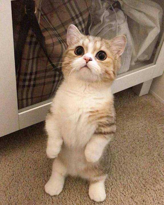 います??♀?｜写メ日記｜ナナ｜渋谷 一般デリヘル マテリアル