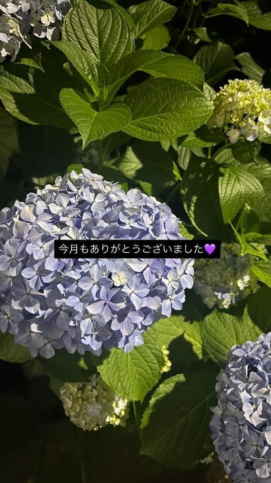 ?6月?｜写メ日記｜キョウカ｜渋谷 一般デリヘル マテリアル