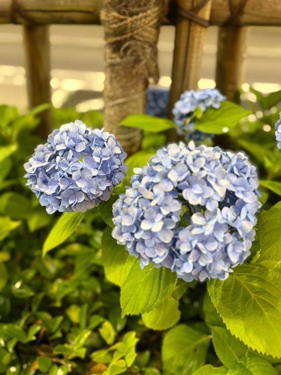 大丈夫だった!?｜写メ日記｜マツリ｜渋谷 一般デリヘル マテリアル