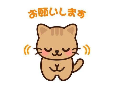 おねがい｜写メ日記｜マツリ｜渋谷 一般デリヘル マテリアル