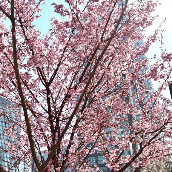 完売ありがとう&久しぶり?｜写メ日記｜ヒナタ｜渋谷 一般デリヘル マテリアル