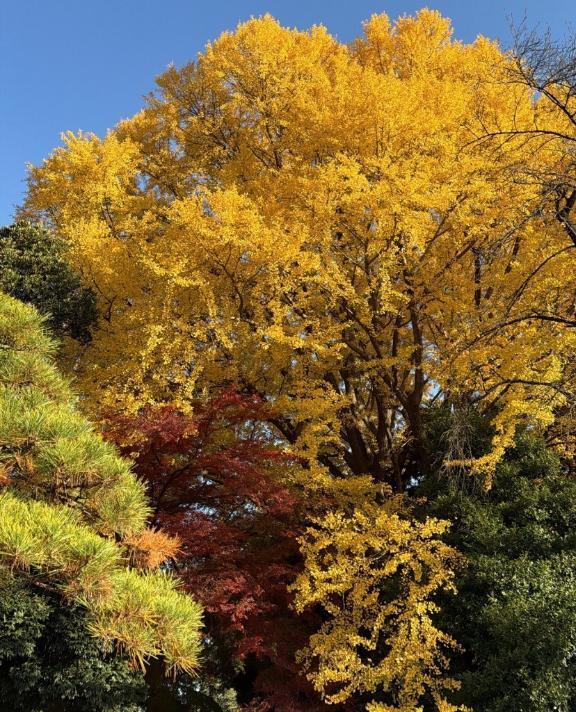 おはよ??｜写メ日記｜ユキ｜渋谷 一般デリヘル マテリアル