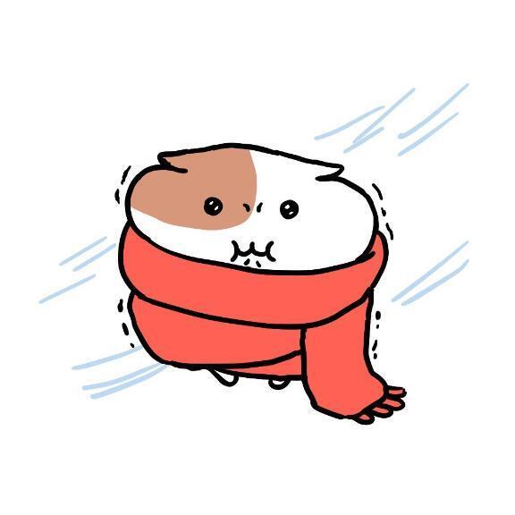 ちょっとしたお願い?｜写メ日記｜ネコ｜渋谷 一般デリヘル マテリアル