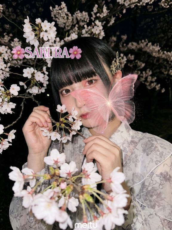 お花見もどき｜写メ日記｜サクラ｜渋谷 一般デリヘル マテリアル