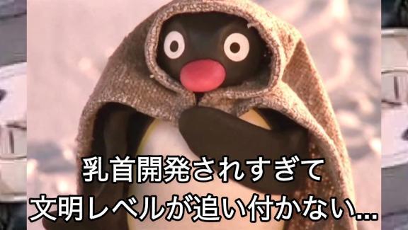 今日昼からいます??